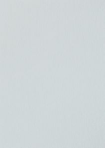 RENOLIT EXOFOL MX LIGHT GREY 7251 
